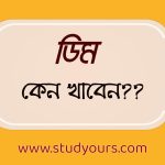 ডিম কেন খাবেন